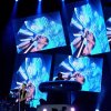 dmMonterrey---29